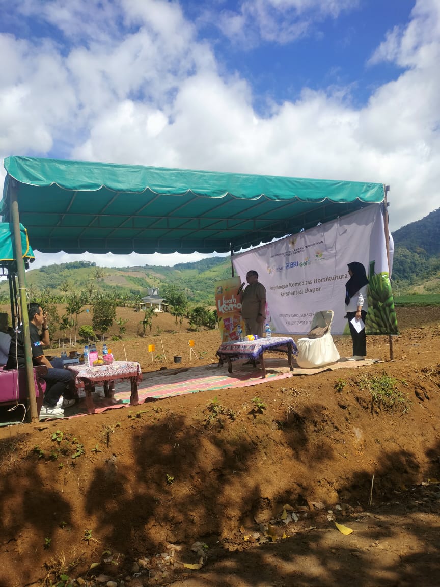 Polsek Kutabuluh Bersama Masyarakat Desa Negri Jahe Tanam Perdana Pisang Cavendish