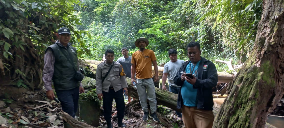 Kapolsek Mardingding Bersama Camat dan BKSDA Sumut Tindaklanjuti Temuan Jejak Harimau di Perladangan Warga