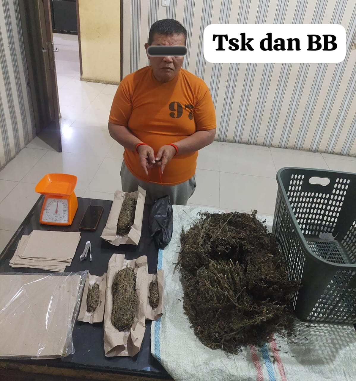 Polres Tanah Karo Ringkus Residivis Narkoba, TSK JB(58) Diamankan Bersama Ganja Siap Edar