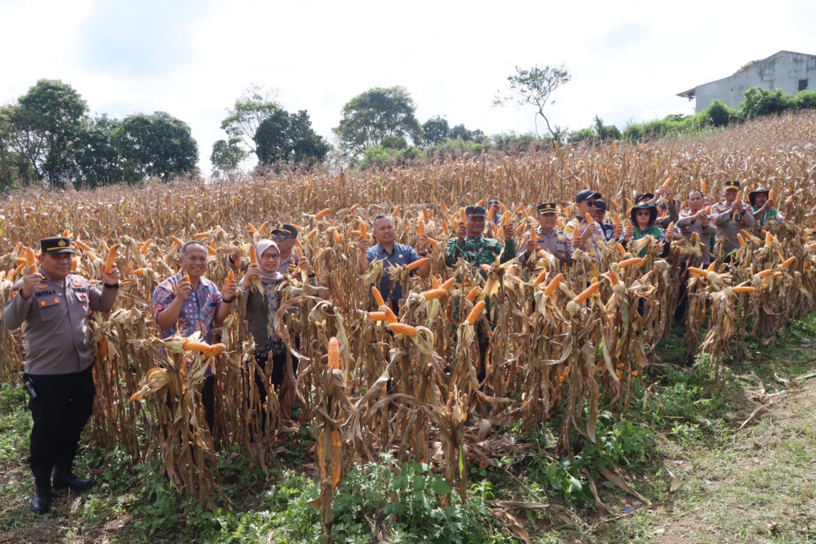Panen Raya Jagung Serentak 2026 Digelar di Tigapanah, Wujud Sinergi Polri dan Pemerintah Daerah