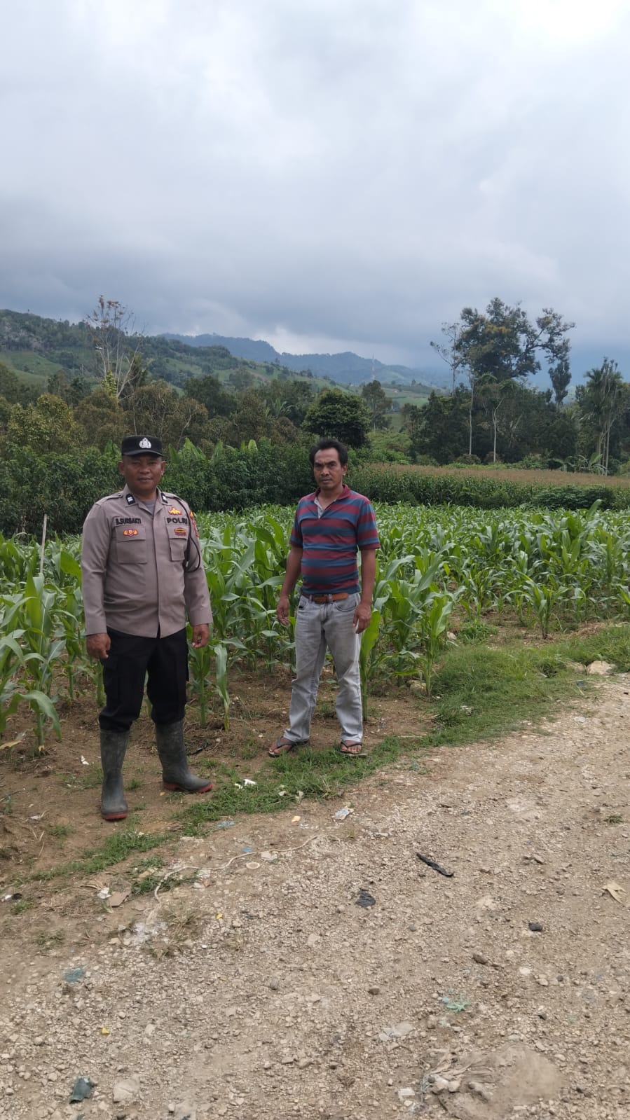 Dukung Asta Cita Presiden RI, Personel Polres Karo Laksanakan Penanaman dan Pengecekan Lahan Binaan
