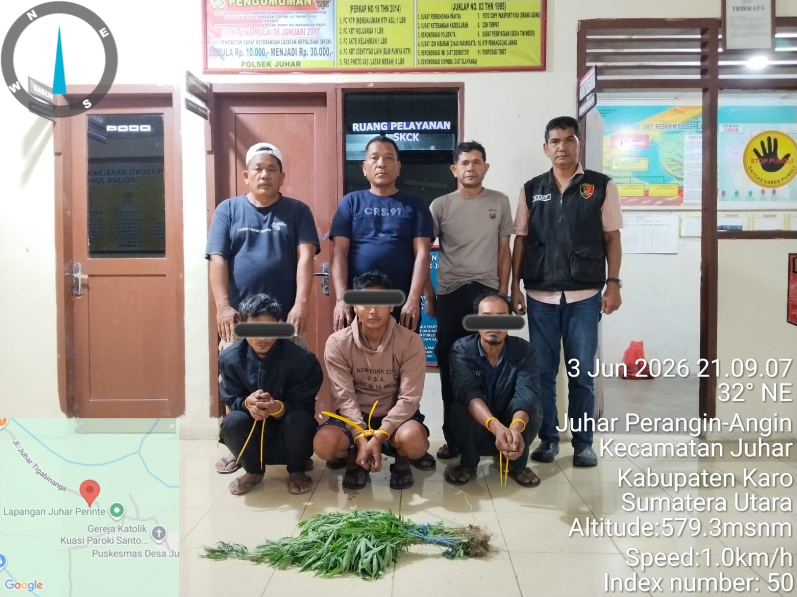 Tanaman Ganja Ditemukan di Perladangan Juhar, Tiga Warga Diamankan Satres Narkoba dan Polsek Juhar